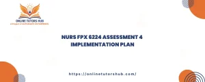 NURS FPX 6224 Assessment 4 Implementation Plan